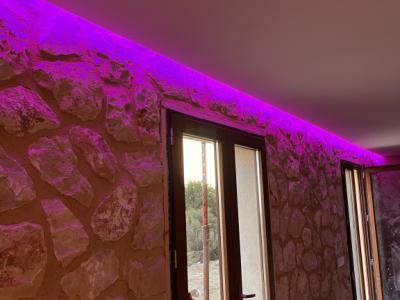 Verfassungsreformen Stein