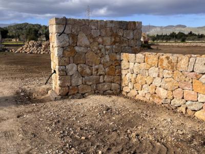 Verfassungsreformen Stein