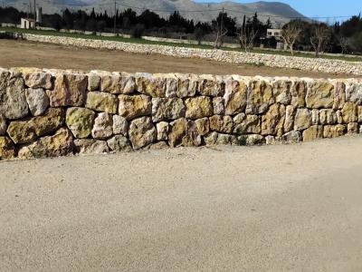 Verfassungsreformen Stein