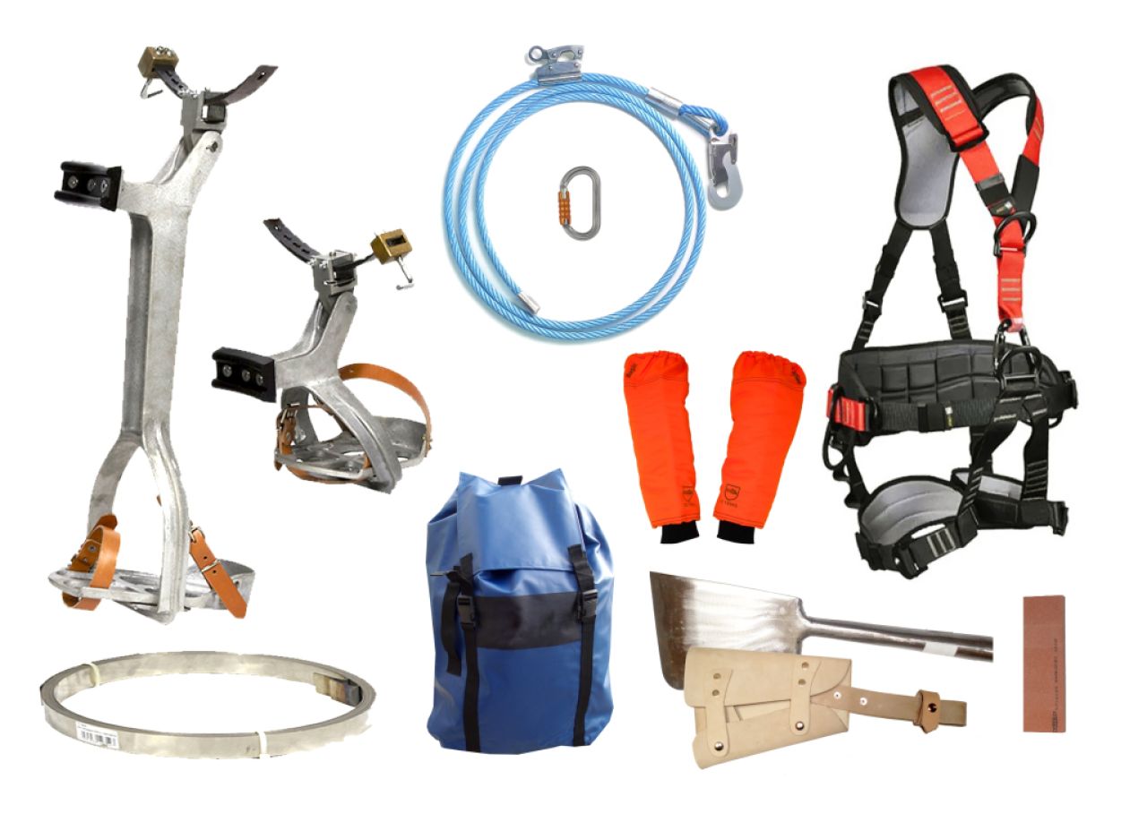 Verkauf von Ausrüstung für die Schnittpflege von Palmen