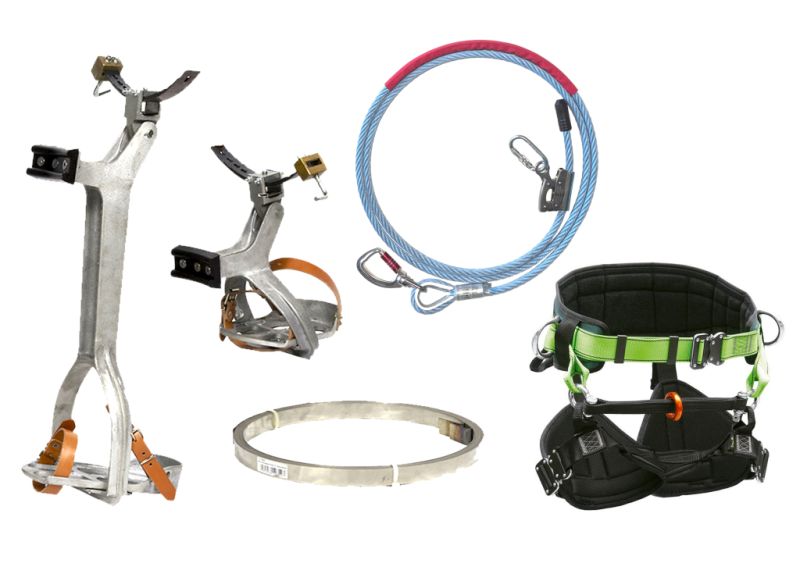 Verkauf von Ausrüstung für die Schnittpflege von Palmen