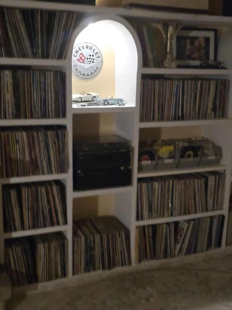 Verkaufe Schallplattensammlung Rock & Disco/Pop