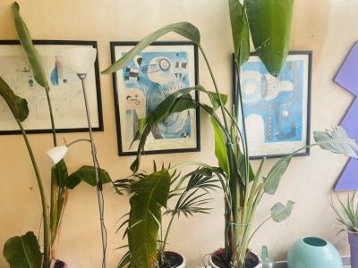 Verschiedene Gruenpflanzen und dekorative Bilder