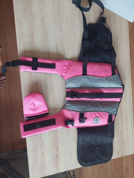 various dog clothes and accessories