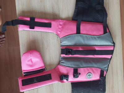 various dog clothes and accessories