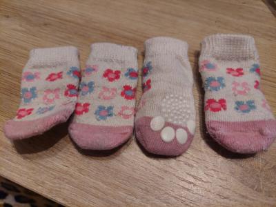 various dog clothes and accessories