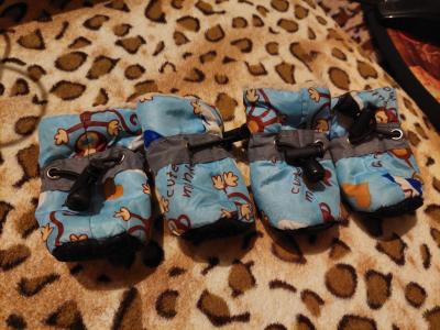 various dog clothes and accessories