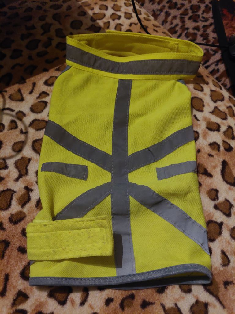 various dog clothes and accessories