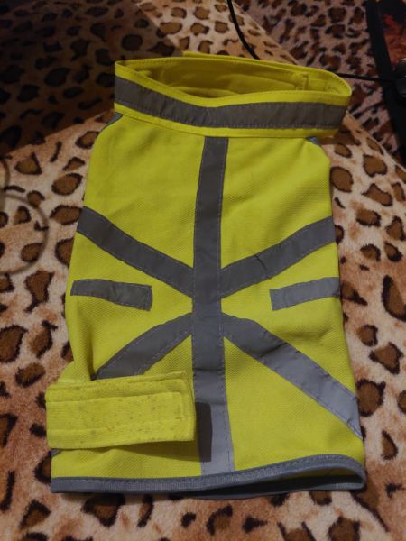 various dog clothes and accessories