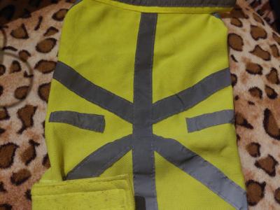 various dog clothes and accessories