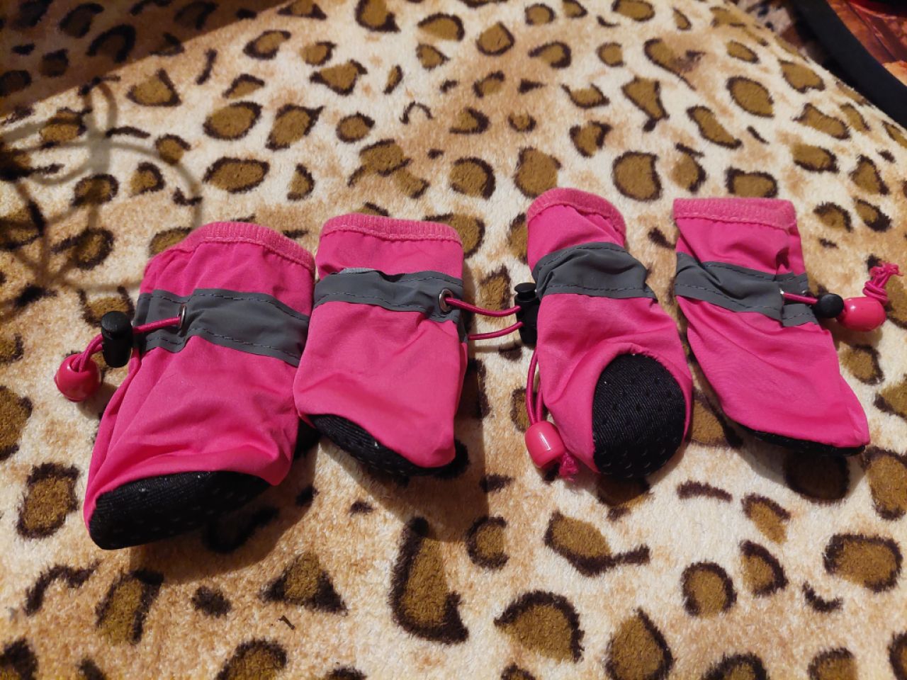 various dog clothes and accessories
