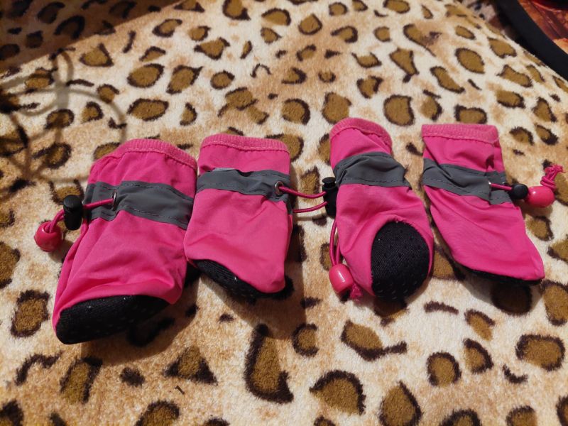 various dog clothes and accessories