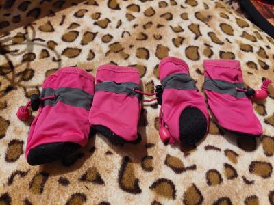various dog clothes and accessories