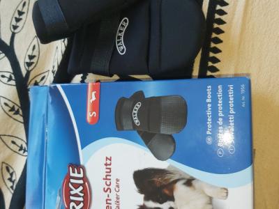 various dog clothes and accessories