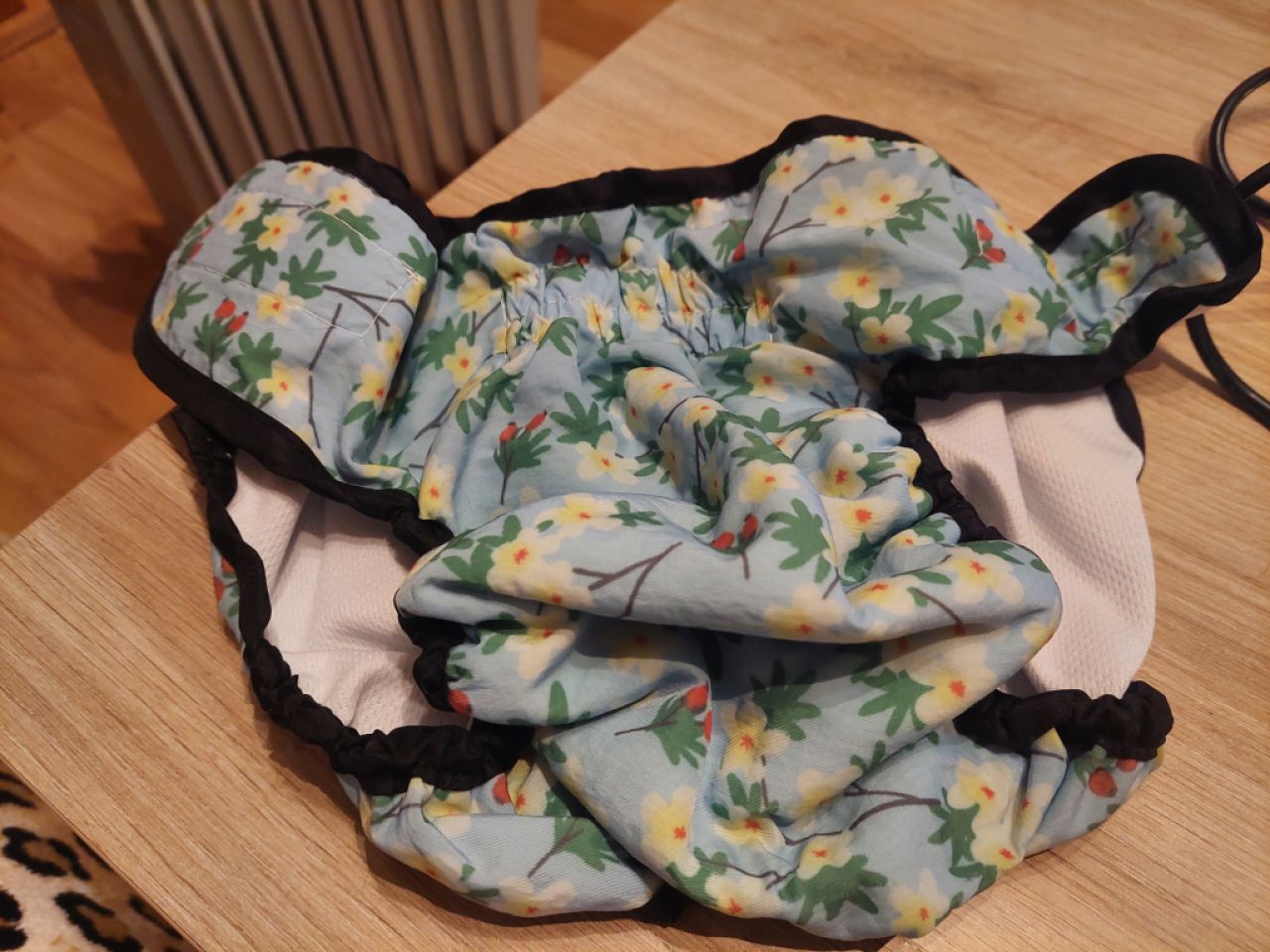 various dog clothes and accessories