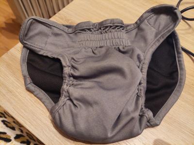 various dog clothes and accessories