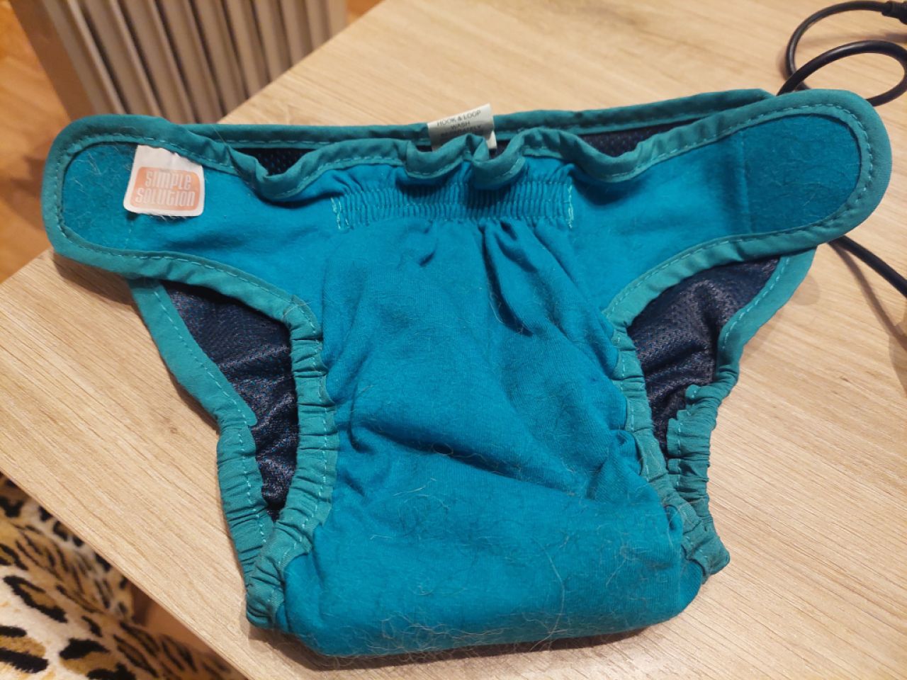 various dog clothes and accessories