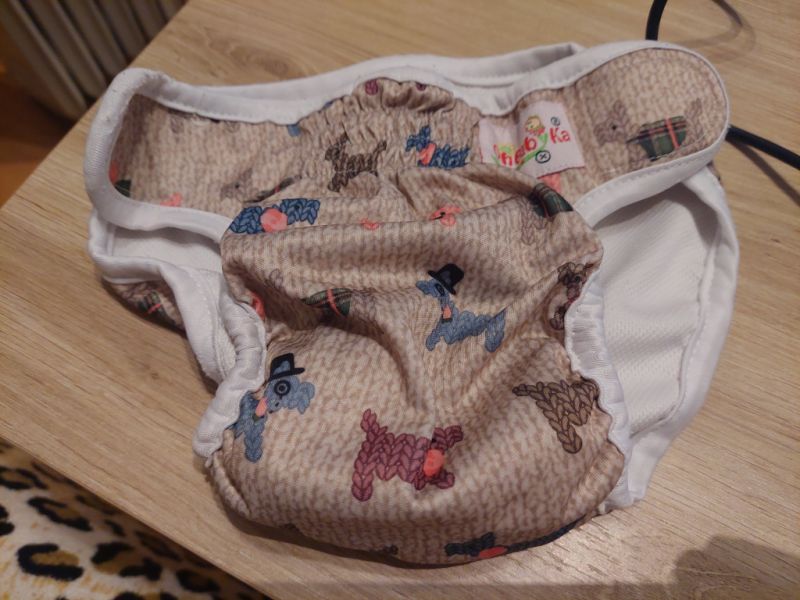 various dog clothes and accessories