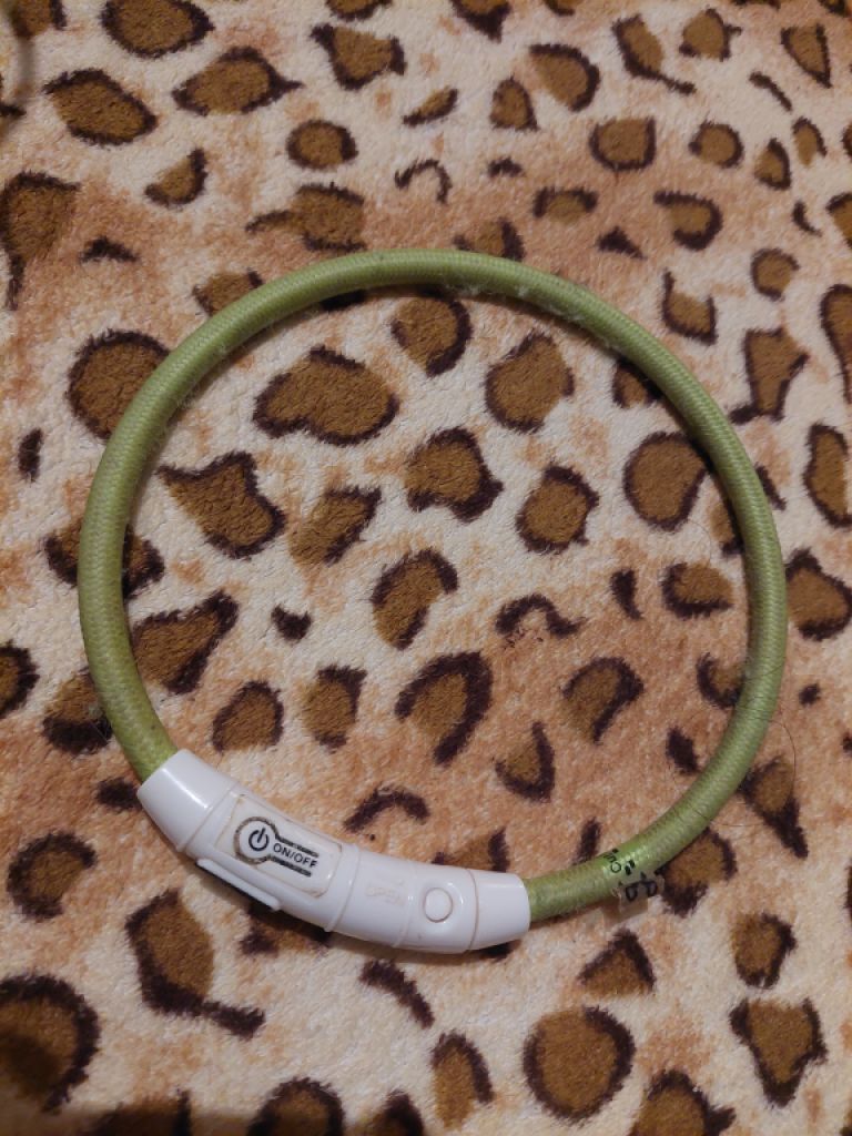 various dog clothes and accessories