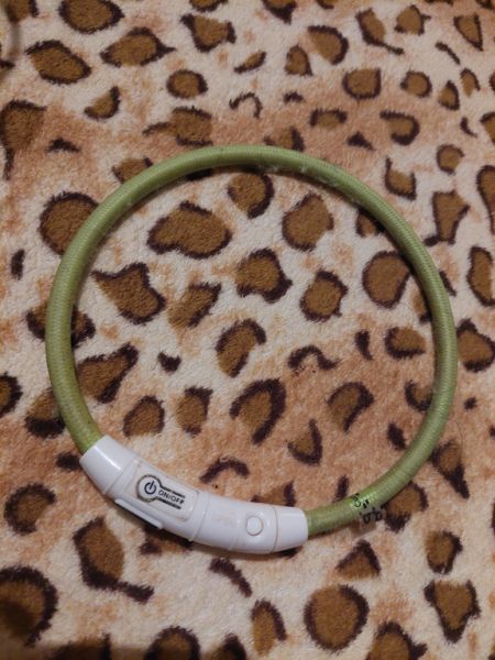 various dog clothes and accessories