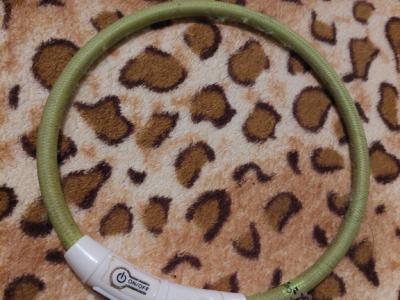 various dog clothes and accessories