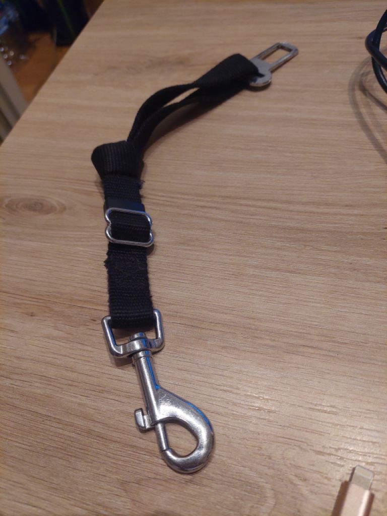 various dog clothes and accessories