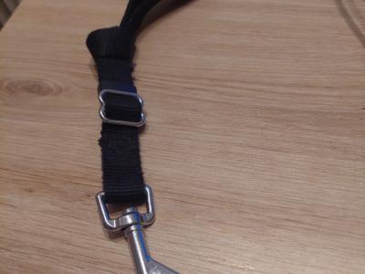 various dog clothes and accessories