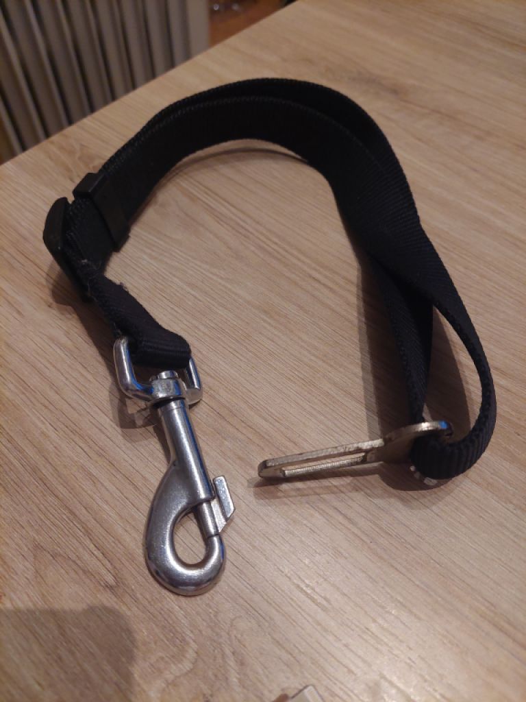 various dog clothes and accessories