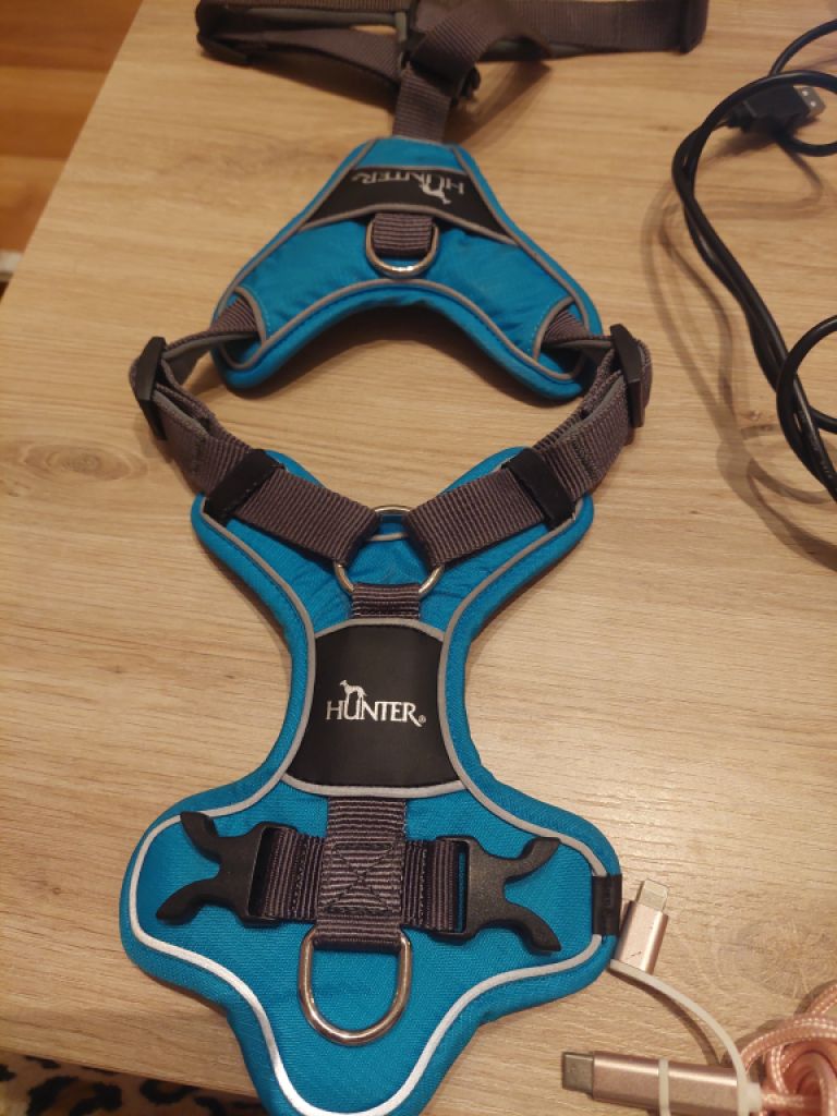 various dog clothes and accessories