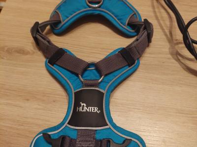 various dog clothes and accessories