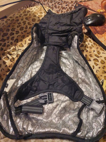 various dog clothes and accessories