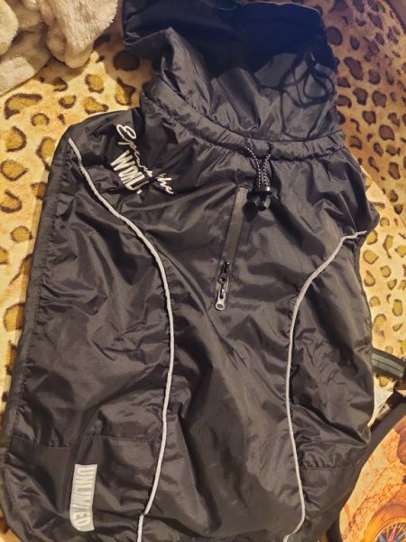 various dog clothes and accessories