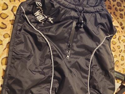 various dog clothes and accessories