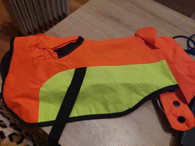 various dog clothes and accessories