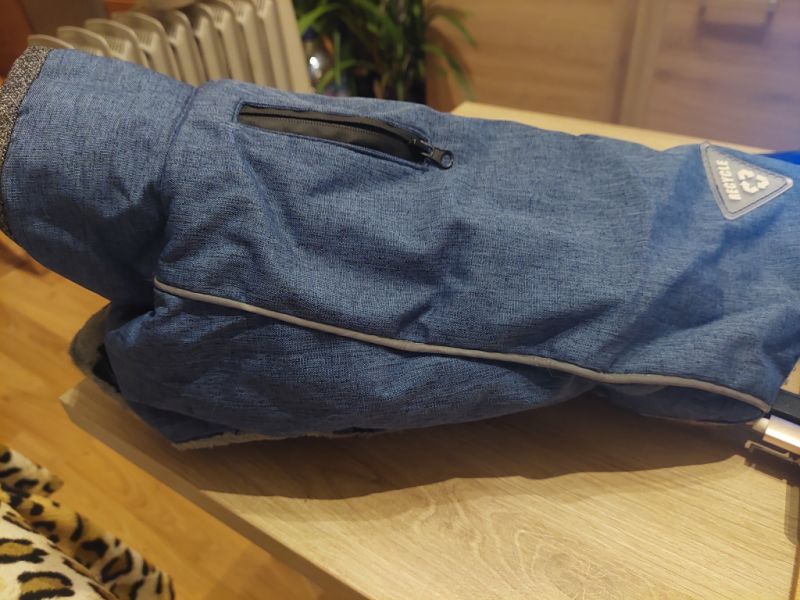 various dog clothes and accessories