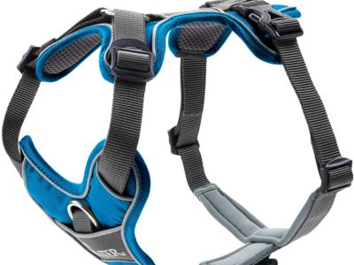 various dog clothes and accessories