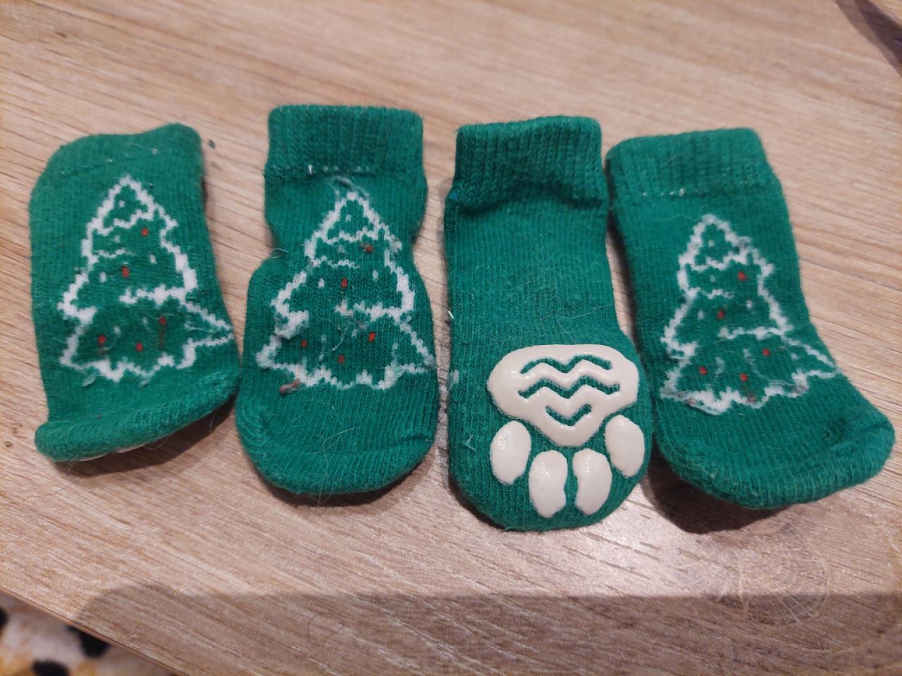 various dog clothes and accessories