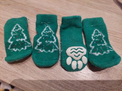 various dog clothes and accessories