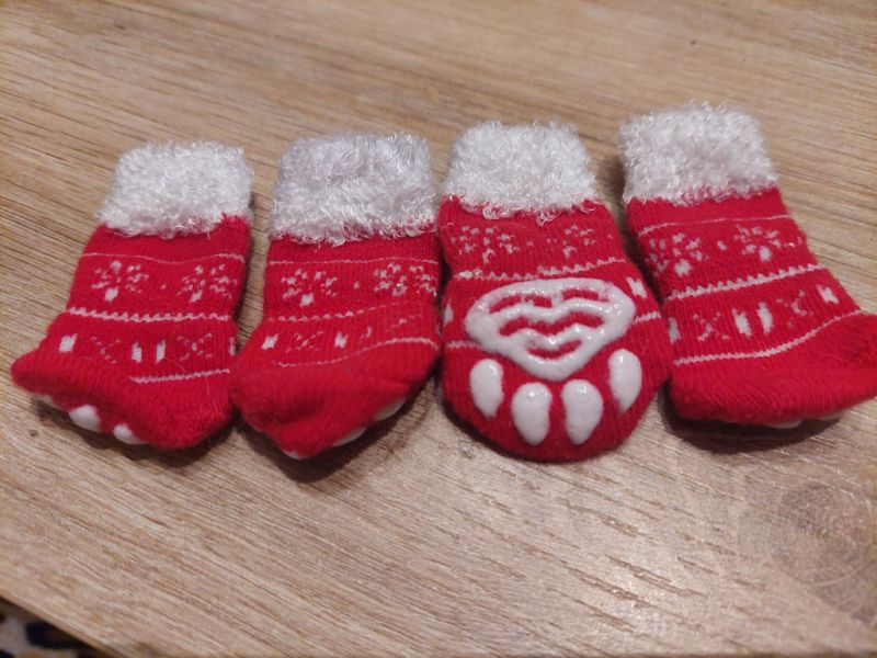 various dog clothes and accessories