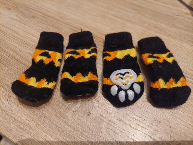 various dog clothes and accessories