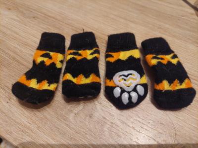 various dog clothes and accessories