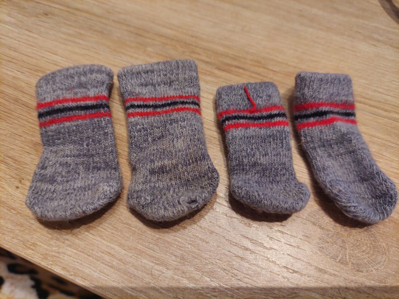 various dog clothes and accessories