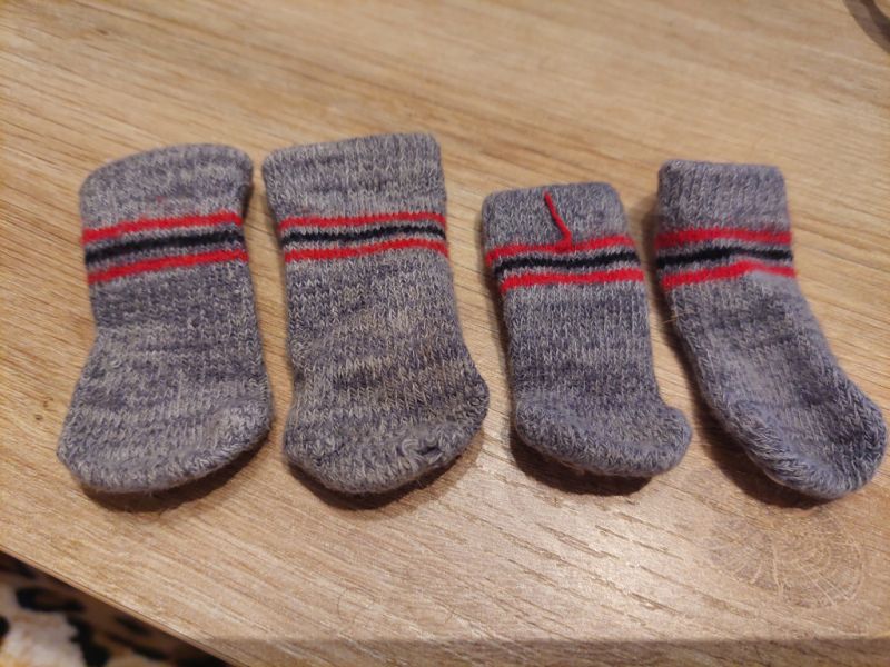 various dog clothes and accessories