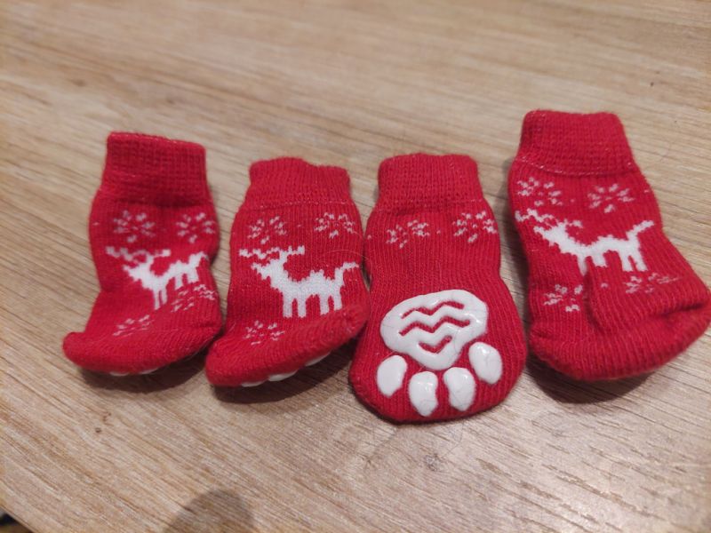 various dog clothes and accessories