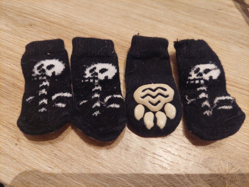 Verschiedene Hundekleidung und Accessoires