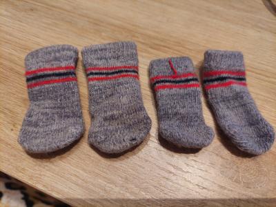 Verschiedene Hundekleidung und Accessoires