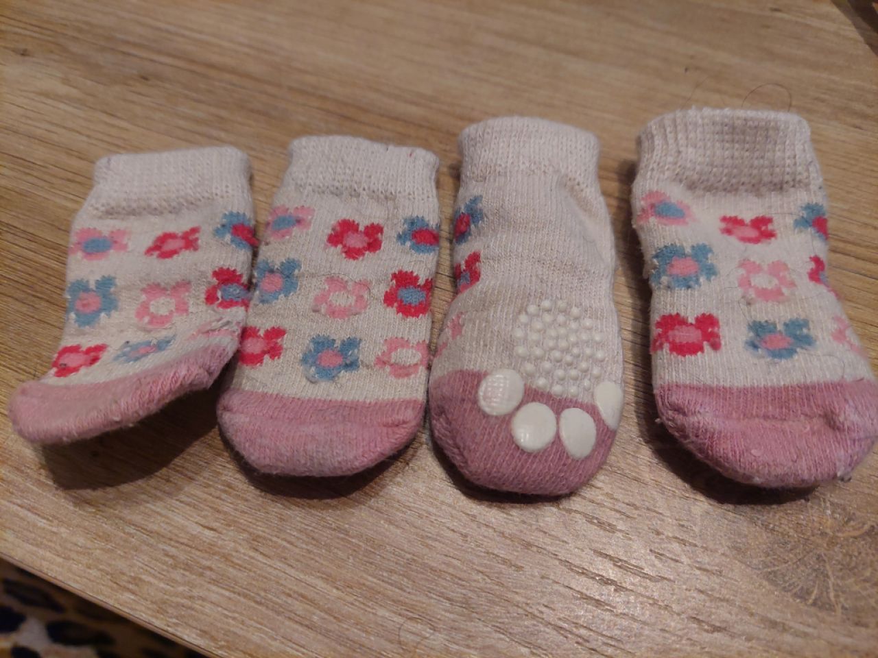 Verschiedene Hundekleidung und Accessoires