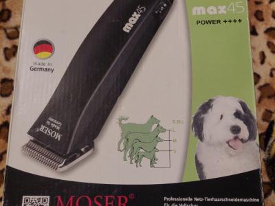 Verschiedene Hundekleidung und Accessoires