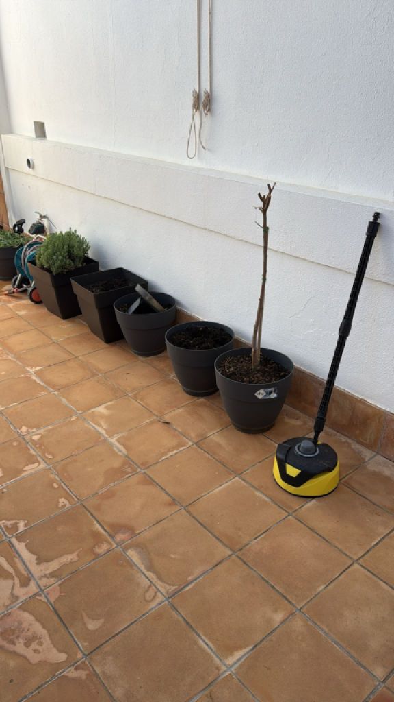 Verschiedene Terracotta Blumenkübel zu verkaufen