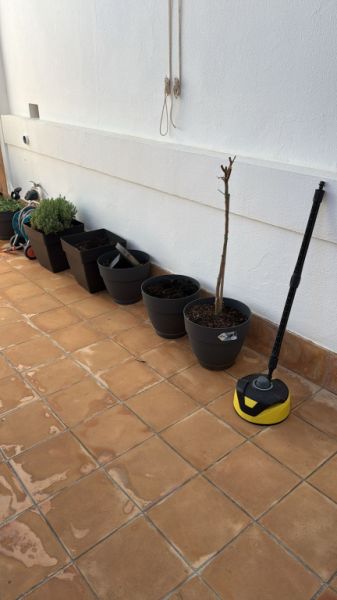 Verschiedene Terracotta Blumenkübel zu verkaufen